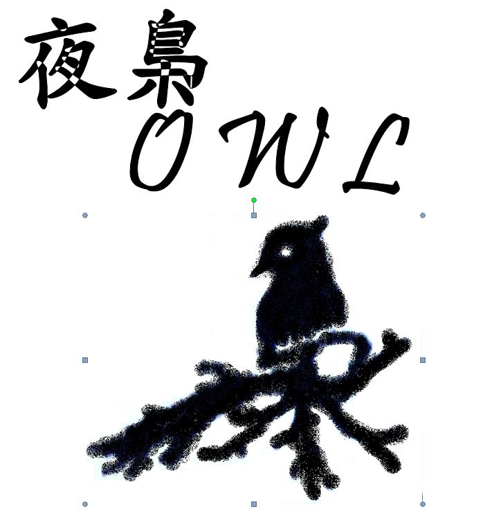 Lose image